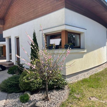 Apartament przy lesie Chojno-Blota Wielkie Extérieur photo