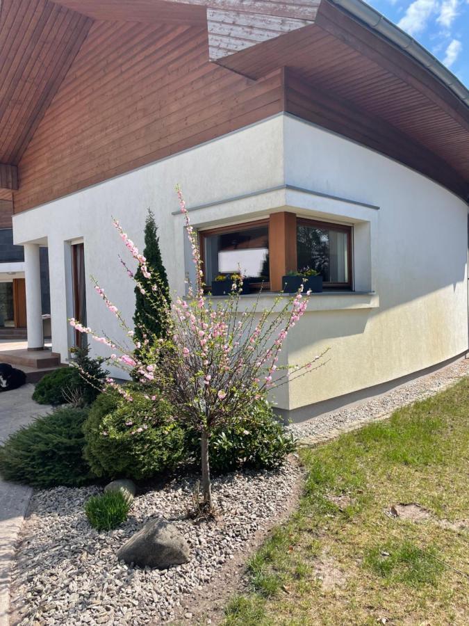 Apartament przy lesie Chojno-Blota Wielkie Extérieur photo